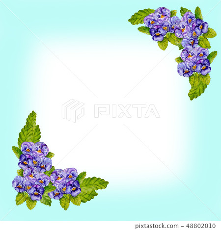 Card with watercolor bouquets of lilac pansies. 48802010