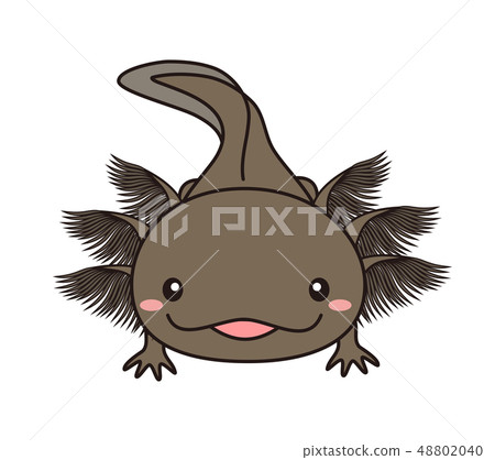 Wooper Rolled Whole Body Axolotl Black Stock Illustration 4040