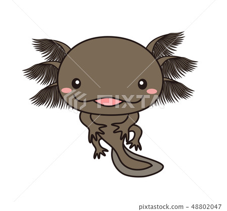 Wooper-per-body Axolotl black Wooper-per-body Axolotl black 48802047