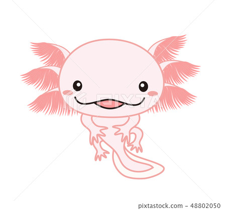 Wooper Lapa Axolotl Pink 48802050