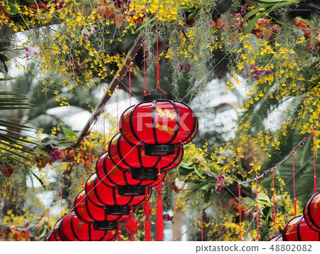 Gardens by the Bay Flower Dome Gardens by the Bay Flower Dome 48802082