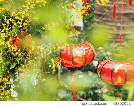 濱海灣花園圓頂 48802091