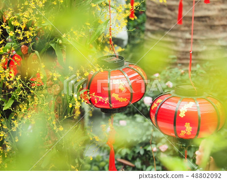 濱海灣花園圓頂 48802092