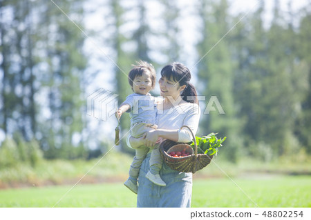 Family parent and child Family parent and child 48802254
