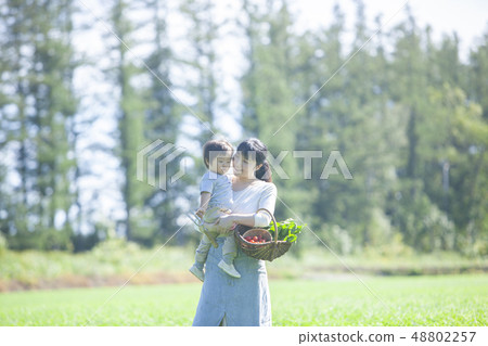 Family parent and child Family parent and child 48802257