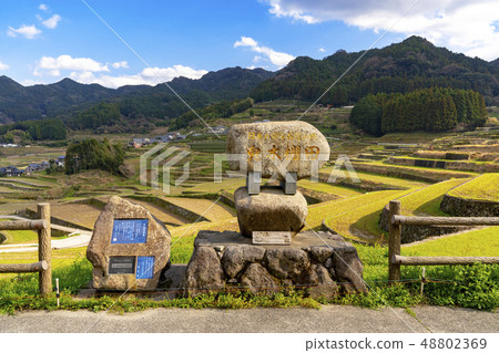 [長崎縣] Oniki Tanada 48802369