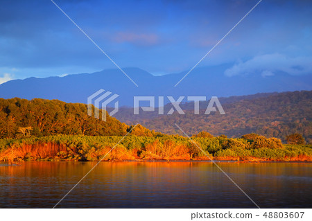 Rio Tarcoles, Carara National Park, Costa Rica. Rio Tarcoles, Carara National Park, Costa Rica. 48803607