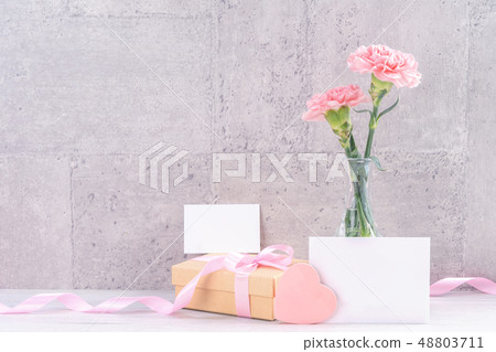 Mother's Day Carnation Surprise カーネーション 清水模 モックアップ Mother's Day carnation Mother's Day Carnation Surprise カーネーション 清水模 モックアップ Mother's Day carnation 48803711