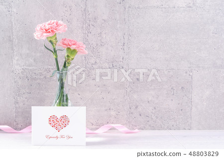  Mother's Day Carnation Surprise カーネーション 清水模 モックアップ Mother's Day carnation 48803829