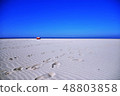 Blue sky and sandy beach 48803858