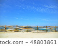 Blue sky and sandy beach 48803861