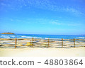 Blue sky and sandy beach 48803864