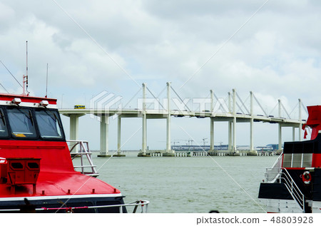 澳門港和榆樹大橋 澳門港和榆樹大橋 48803928