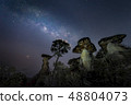 The Milky Way is above the natural stone pillars 48804073