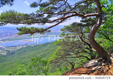 Beautiful landscape with a pine tree in harmony with the river seen from a mountain on a clear day Beautiful landscape with a pine tree in harmony with the river seen from a mountain on a clear day 48804729