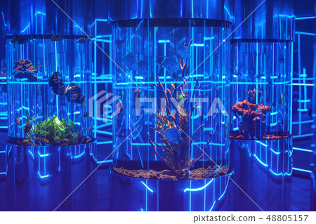 oceanarium interior photo oceanarium interior photo 48805157