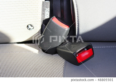 seat belt on a back seat in the car seat belt on a back seat in the car 48805501