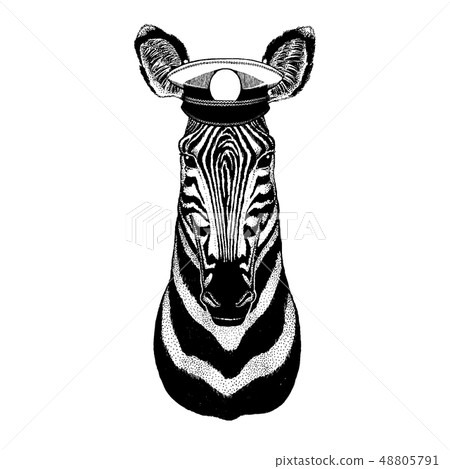 Zebra, horse Hand drawn image for tattoo, emblem, badge, logo, patch, t-shirt Zebra, horse Hand drawn image for tattoo, emblem, badge, logo, patch, t-shirt 48805791