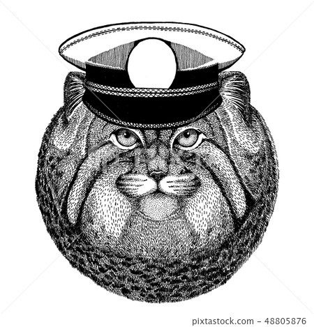 Wild cat Manul Hand drawn image for tattoo, emblem, badge, logo, patch 48805876