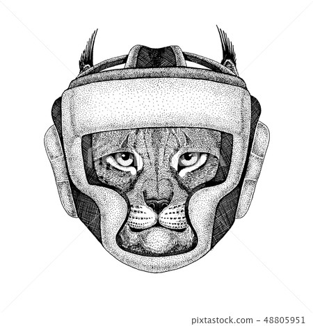 Boxer animal. Vector illustration for t-shirt. Sport, fighter isolated on white background. Fitness 48805951