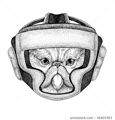 Boxer animal. Vector illustration for t-shirt. Sport, fighter isolated on white background. Fitness Boxer animal. Vector illustration for t-shirt. Sport, fighter isolated on white background. Fitness 48805963