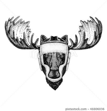 Boxer animal. Vector illustration for t-shirt. Sport, fighter isolated on white background. Fitness Boxer animal. Vector illustration for t-shirt. Sport, fighter isolated on white background. Fitness 48806036