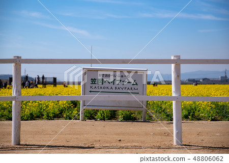 路站“Kasaoka Bay Farm”~Nanohana 2019~ 路站“Kasaoka Bay Farm”~Nanohana 2019~ 48806062