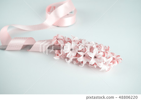 Fragile branch of pink hyacinth decorated  48806220