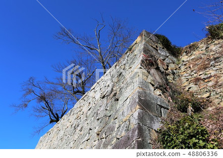 Tsuyama Castle 48806336