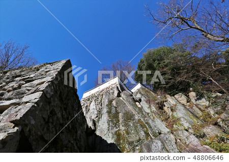 Bitchu Matsuyama城堡 Bitchu Matsuyama城堡 48806646