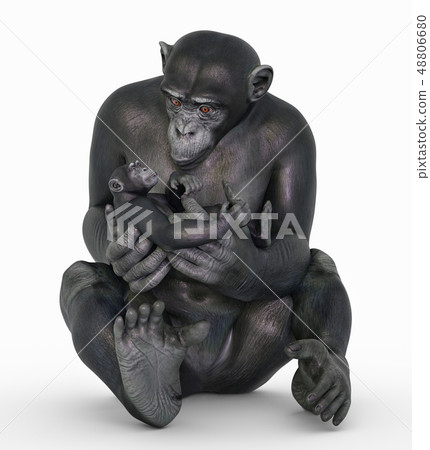 Chimpanzee babysitting 48806680