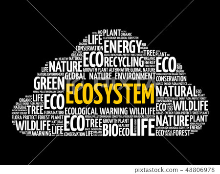 Ecosystem word cloud, conceptual background Ecosystem word cloud, conceptual background 48806978