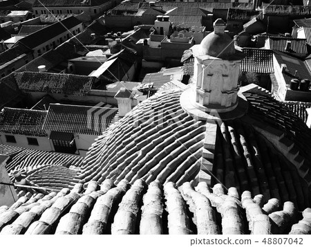 Rooftop of San Francisco Convent in Potosi Rooftop of San Francisco Convent in Potosi 48807042