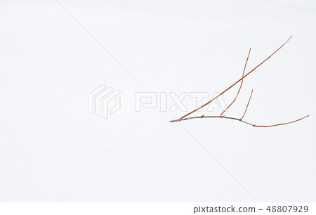 abstract brach of tree in snow 48807929