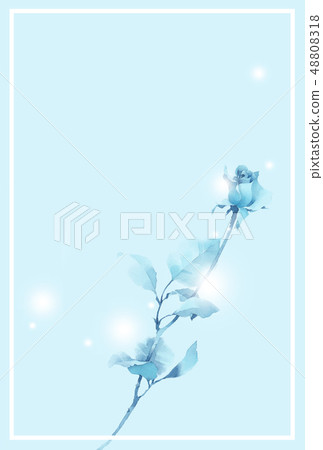 藍玫瑰B. 48808318