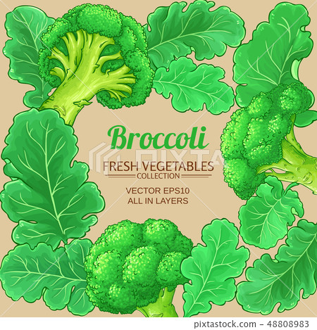 broccoli vector frame broccoli vector frame 48808983