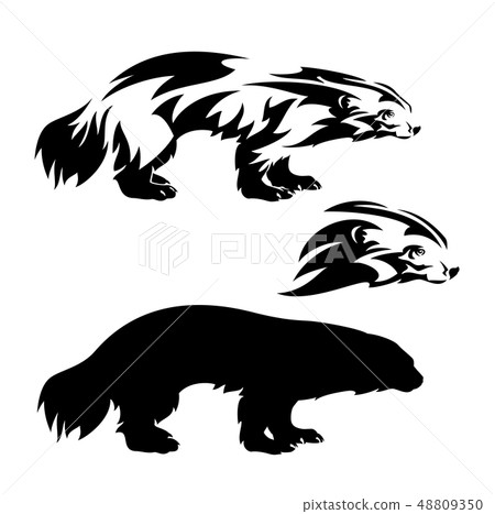 wolverine black vector silhouette and outline wolverine black vector silhouette and outline 48809350