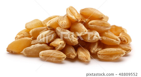 Heap of dry wheat grains isolated on white Heap of dry wheat grains isolated on white 48809552