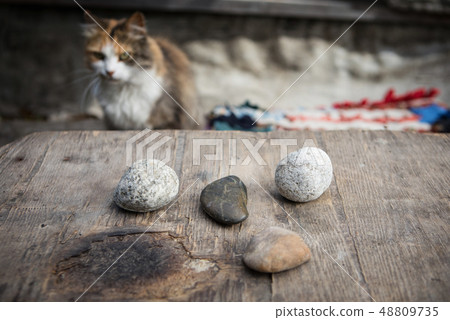 Stones for divination on a wooden table with a cat in the background 48809735