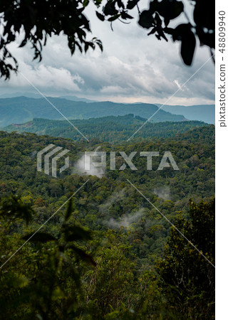 Sinharaja rain forest nature reserve, Sri Lanka. View from top of mountain to forest. Sinharaja rain forest nature reserve, Sri Lanka. View from top of mountain to forest. 48809940