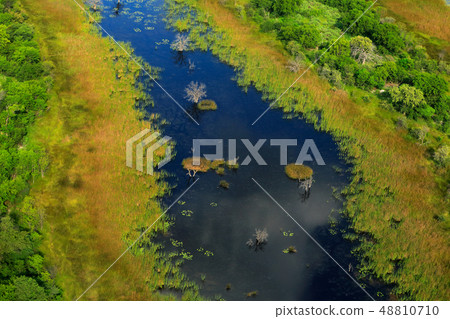 Aerial landscape in Okavango delta, Botswana 48810710