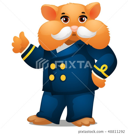 Hamster in the costume of the captain of the ship isolated on white background. Vector cartoon close 48811292
