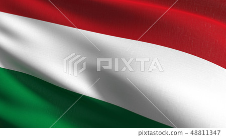 Hungary national flag blowing in the wind Hungary national flag blowing in the wind 48811347