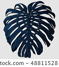 Vector illustration with tropical monstera leaves exotic jungle 48811528
