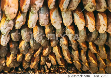 Hanging Italian Dry-cured Ham Prosciutto In Shop. Italian Cuisine 48812088