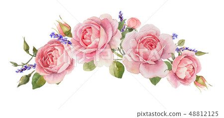Watercolor rose composition Watercolor rose composition 48812125