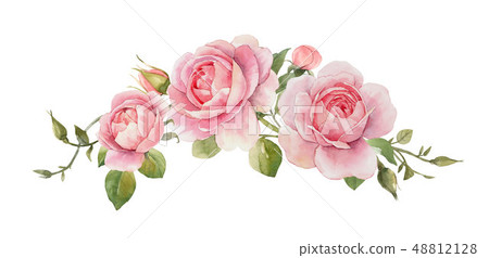 Watercolor rose composition Watercolor rose composition 48812128