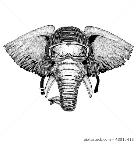 Animal wearing motorycle helmet. Image for kindergarten children clothing, kids. T-shirt, tattoo Animal wearing motorycle helmet. Image for kindergarten children clothing, kids. T-shirt, tattoo 48813418