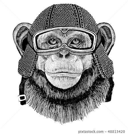 Animal wearing motorycle helmet. Image for kindergarten children clothing, kids. T-shirt, tattoo Animal wearing motorycle helmet. Image for kindergarten children clothing, kids. T-shirt, tattoo 48813420