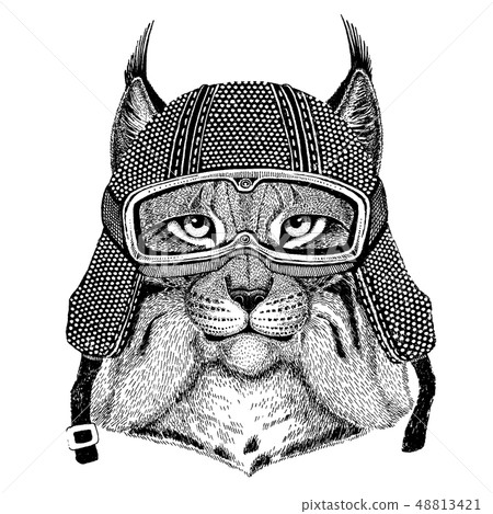 Animal wearing motorycle helmet. Image for kindergarten children clothing, kids. T-shirt, tattoo 48813421
